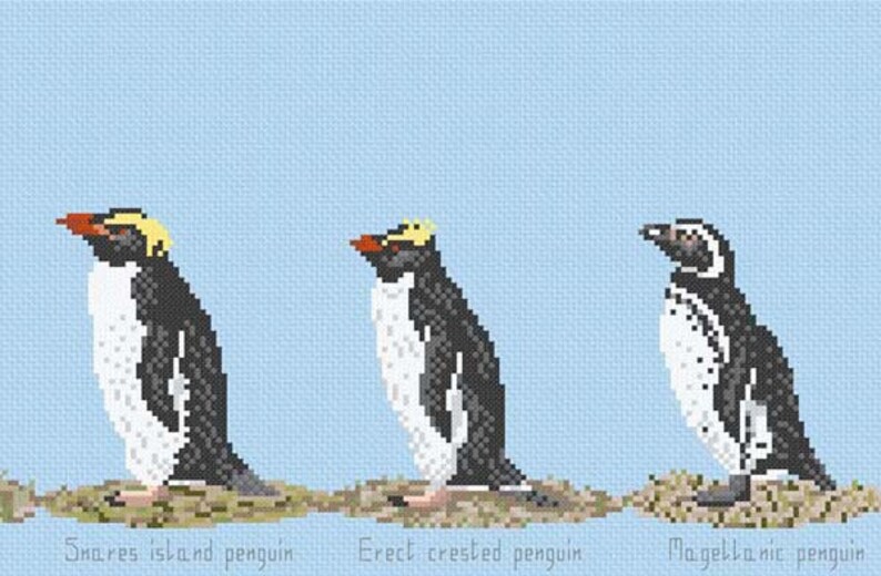 Cross Stitch chart download 'Penguin Paradise' Etsy