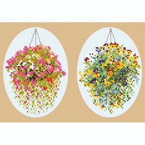 Hanging Baskets of Busy Lizzie and Pansies