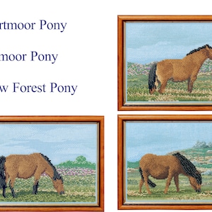 Wild Ponies in Wild Places - Set 1