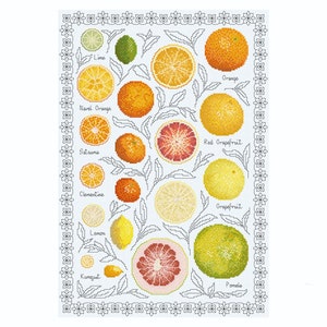 Citrus Fruit Cross Stitch Sampler