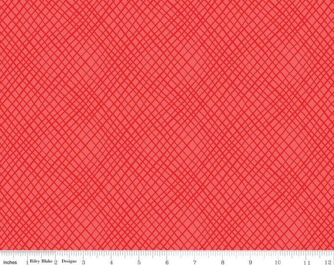 Riley Blake Fabric Wildflower Boutique by Heather Peterson Etsy