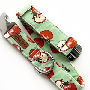 Apple Dog Bow Collar Set // Take A Bow Handmade Dog Collar, Green Apple Dog Bow Collar, Red Apple Pet Collar, Back to School Dog Accessories