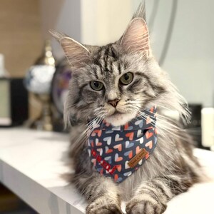 Semi Hearts Embroidery Dog Bandana // Take A Bow Handmade Pet Bandana, Valentine&#39;s Day Gift for Dogs, Sweetheart Pet Neck Bandana,