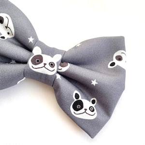 MR FRENCHIE Dog Bow // Take A Bow Handmade Bowtie, Boston Terrier Dog Collar Bowtie, Boston Bowtie Collar, French Bulldog, Frenchie, Dog Mom