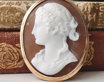May include: An oval-shaped brooch featuring a white carved relief of a person's profile set against a smooth brown background. The cameo is encased in a polished gold-toned metal frame with a simple, rounded edge, highlighting the detailed facial features and hair.