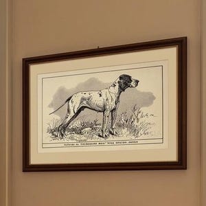 Op de afbeelding: Een ingelijste zwart-witprint van een pointer-hond aan een beige muur in een kamer met een houten boekenkast, een leren fauteuil, een kleine bijzettafel en uitzicht vanuit het raam op een stad met een hoge torenspits in de verte.