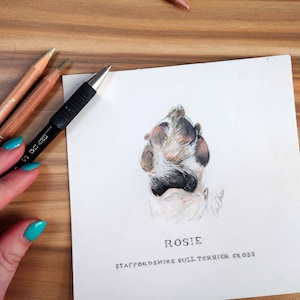 手描きの足跡 - 足跡の特徴