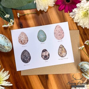 Tarjeta de felicitación de huevo, Huevos de pájaro de caza, Tarjeta de Pascua, Tarjeta de huevo de pájaro, Regalos de cocina, Tarjeta de inauguración de casa, Granja, Tarjeta de campo, Tarjeta de cocina