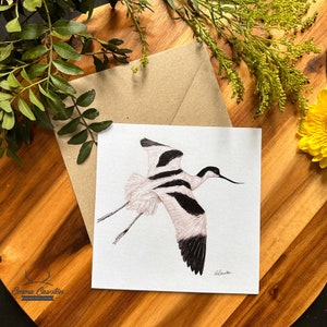 Carte de voeux oiseau, avocette oiseau océan, carte bord de mer, carte océan, carte mer, carte côtière, carte de remerciement, carte de vœux, oiseaux mignons