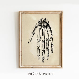 Antique Anatomy Print: Vintage Skeleton Hand Illustration (PDF/JPG Download)