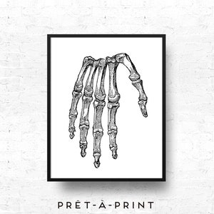 Vintage Anatomy Print: Hand Skeleton, Halloween Decor (Digital Print)