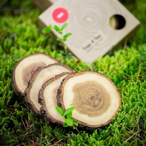 Rustic coasters, Wooden slices, Modern woodwork, Rustic wedding decor, Coasters