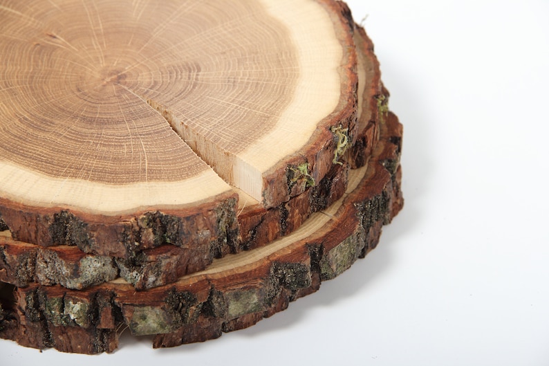 Puede incluir: Tres rebanadas de madera apiladas con corteza, mostrando la veta natural y los anillos de la madera. La rebanada superior es la m&aacute;s grande y tiene una grieta natural en el centro.
