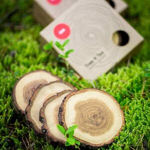 Puede incluir: Cuatro posavasos de madera hechos de rodajas de &aacute;rbol con bordes de corteza naturales. Los posavasos est&aacute;n apilados en un lecho de musgo verde. Los posavasos son de color madera natural con patrones de veta visibles.