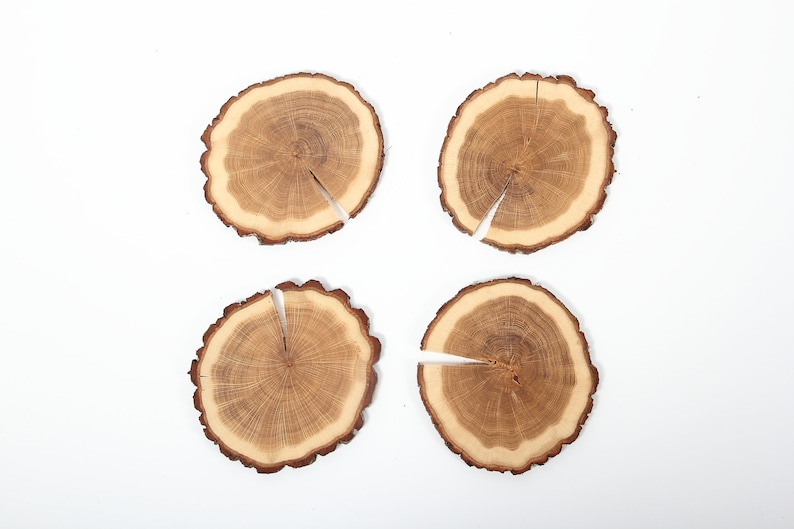 Puede incluir: Cuatro posavasos redondos de madera con veta de madera natural y color marr&oacute;n claro. Cada posavasos tiene una grieta en el centro.