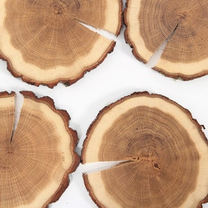 Puede incluir: Cuatro rodajas de madera redondas con bordes de corteza natural. La veta de la madera es visible en el centro de cada rodaja.