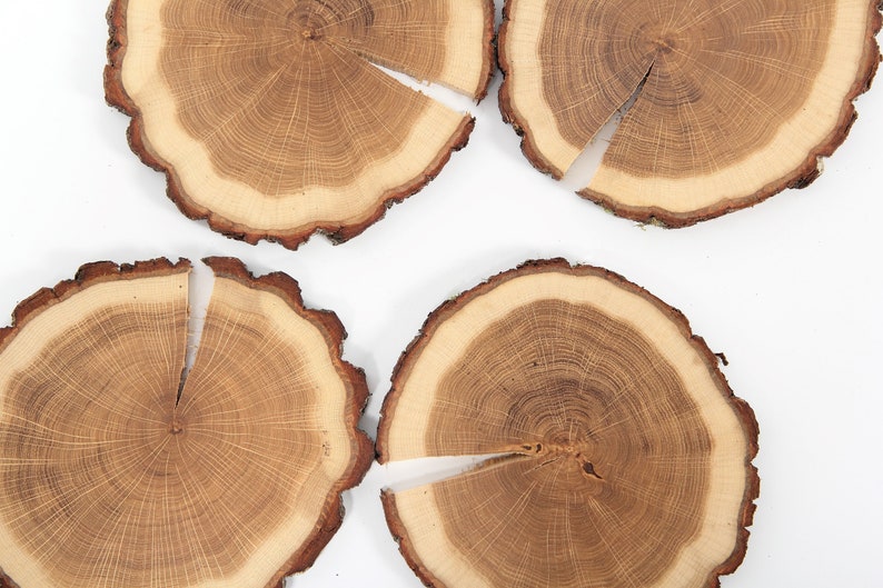 Puede incluir: Cuatro rodajas de madera redondas con bordes de corteza natural. La veta de la madera es visible en el centro de cada rodaja.
