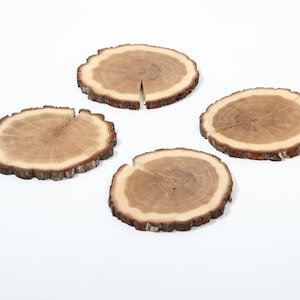 Puede incluir: Cuatro rodajas de madera natural con bordes de corteza, dispuestas en un patr&oacute;n cuadrado sobre un fondo blanco. Las rodajas de madera son de color marr&oacute;n claro con anillos marrones m&aacute;s oscuros.