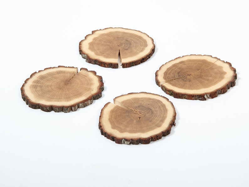 Puede incluir: Cuatro rodajas de madera natural con bordes de corteza, dispuestas en un patr&oacute;n cuadrado sobre un fondo blanco. Las rodajas de madera son de color marr&oacute;n claro con anillos marrones m&aacute;s oscuros.