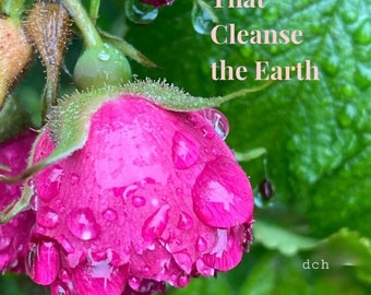 Nature’s Tears