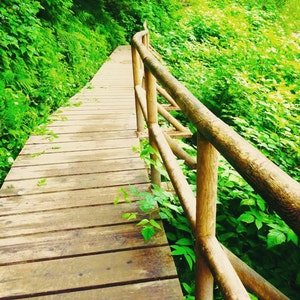 The Path