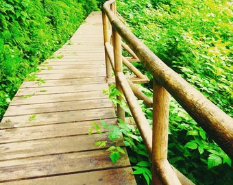 Le chemin