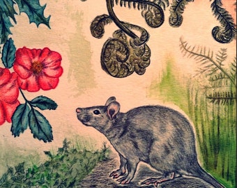 Mijnheer tuin Rat