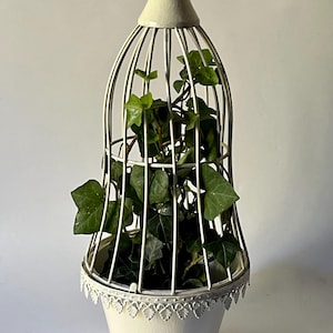 Peut inclure: Une jardinière en métal couleur crème en forme de cage à oiseaux, dotée d'un sommet pointu et d'une base à bordure festonnée. À l'intérieur de la cage, une plante de lierre vert aux feuilles lobées pousse vers le haut à travers les barreaux.