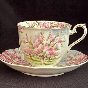 Royal Albert Blossom Time - Etsy