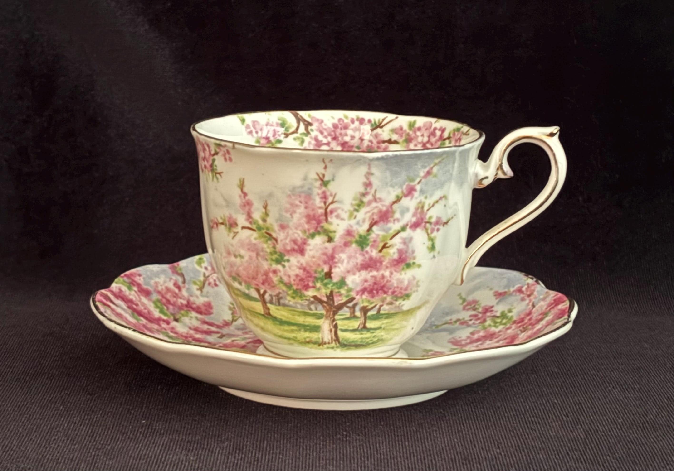 Royal Albert Blossom Time - Etsy