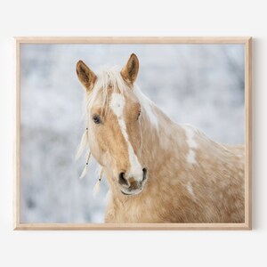 Horse art print, horse printable art, horse photography, printable horse photo, horse wall art, animal art for wall, printable digital art