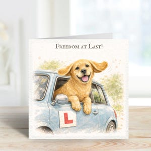 May include: Greeting card featuring a watercolor illustration of a golden retriever puppy smiling and leaning out of a light blue car window. The card reads "Freedom at Last!" and has an "L" sign on the car.