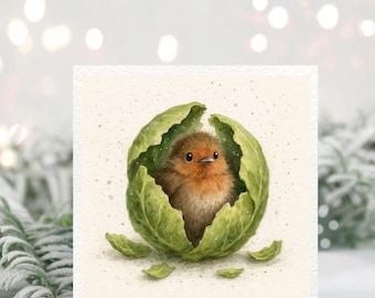 Robin in Brussels Sprout Christmas Card – Cute Hand Painted Bird Holiday Greeting – Funny Festive Vegetable Design – Blank 5x5 Watercolour