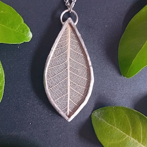 May include: A silver chain necklace with a pendant featuring a delicate, dried leaf encased in clear resin. The leaf has a detailed vein pattern and is a light brown color.