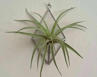 Stained Glass Wall / Window Hanging Air Plant Holder Terrarium Display Geometric Simple Clear With Silver / Copper / Black