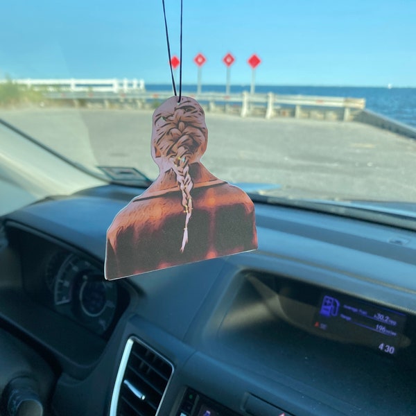 Taylor Swifts Record Air Freshener - Etsy