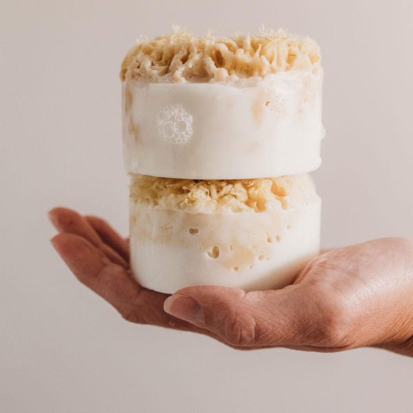 Exfoliating Sea Sponge Soap, WHITE TEA and BERGAMOT, Natural Body Soap, Spa Gift, Gift for Her