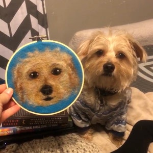 May include: A needle felted portrait of a small, light brown dog with black eyes. The portrait is framed in a blue and white embroidery hoop. The real dog is sitting in the background wearing a blue and white sweater.