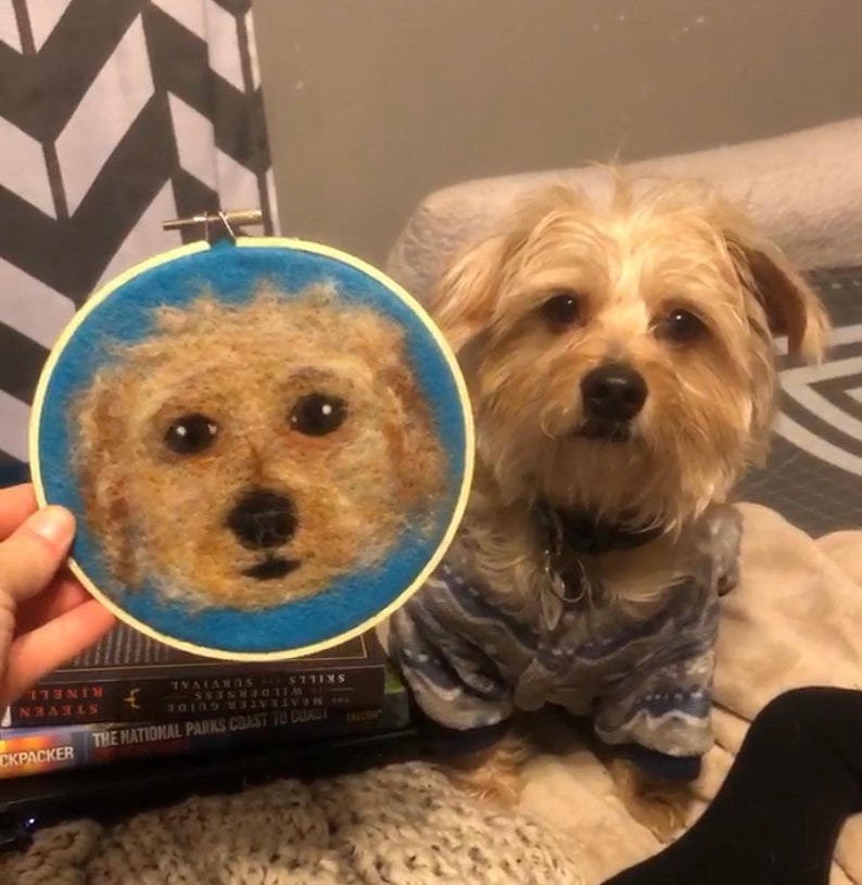 May include: A needle felted portrait of a small, light brown dog with black eyes. The portrait is framed in a blue and white embroidery hoop. The real dog is sitting in the background wearing a blue and white sweater.