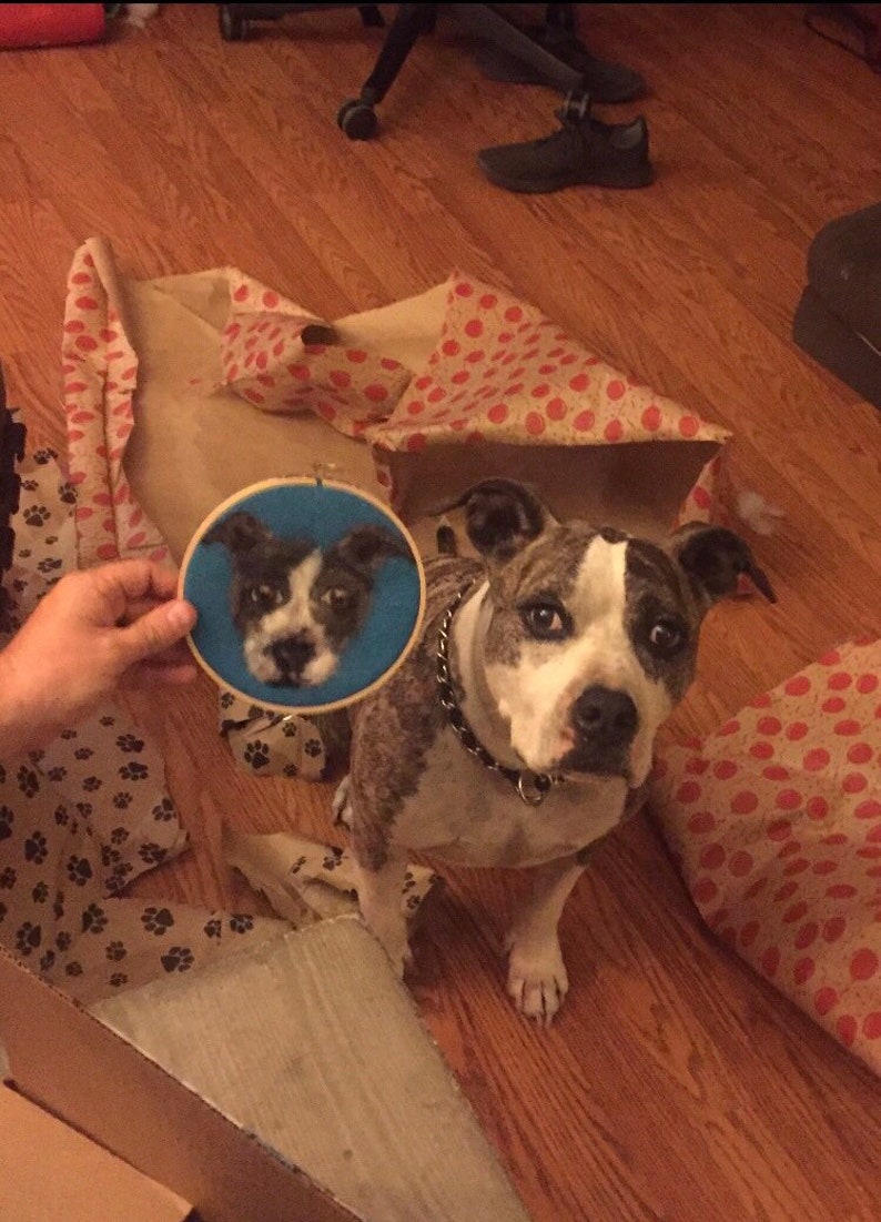 May include: A brown and white dog with a black collar looks at the camera. The dog is sitting on a wooden floor. A hand is holding a blue embroidery hoop with a picture of a dog's face inside.