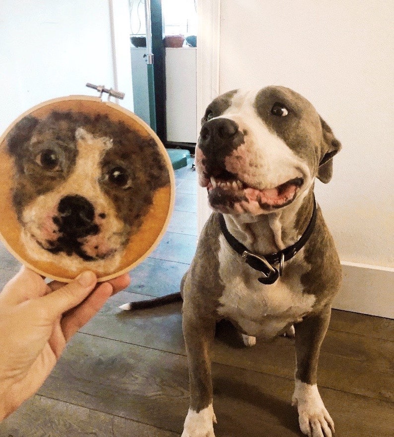 May include: A gray and white pit bull terrier dog sits on a wooden floor, looking at a circular embroidery hoop with a needlepoint portrait of a dog's face.
