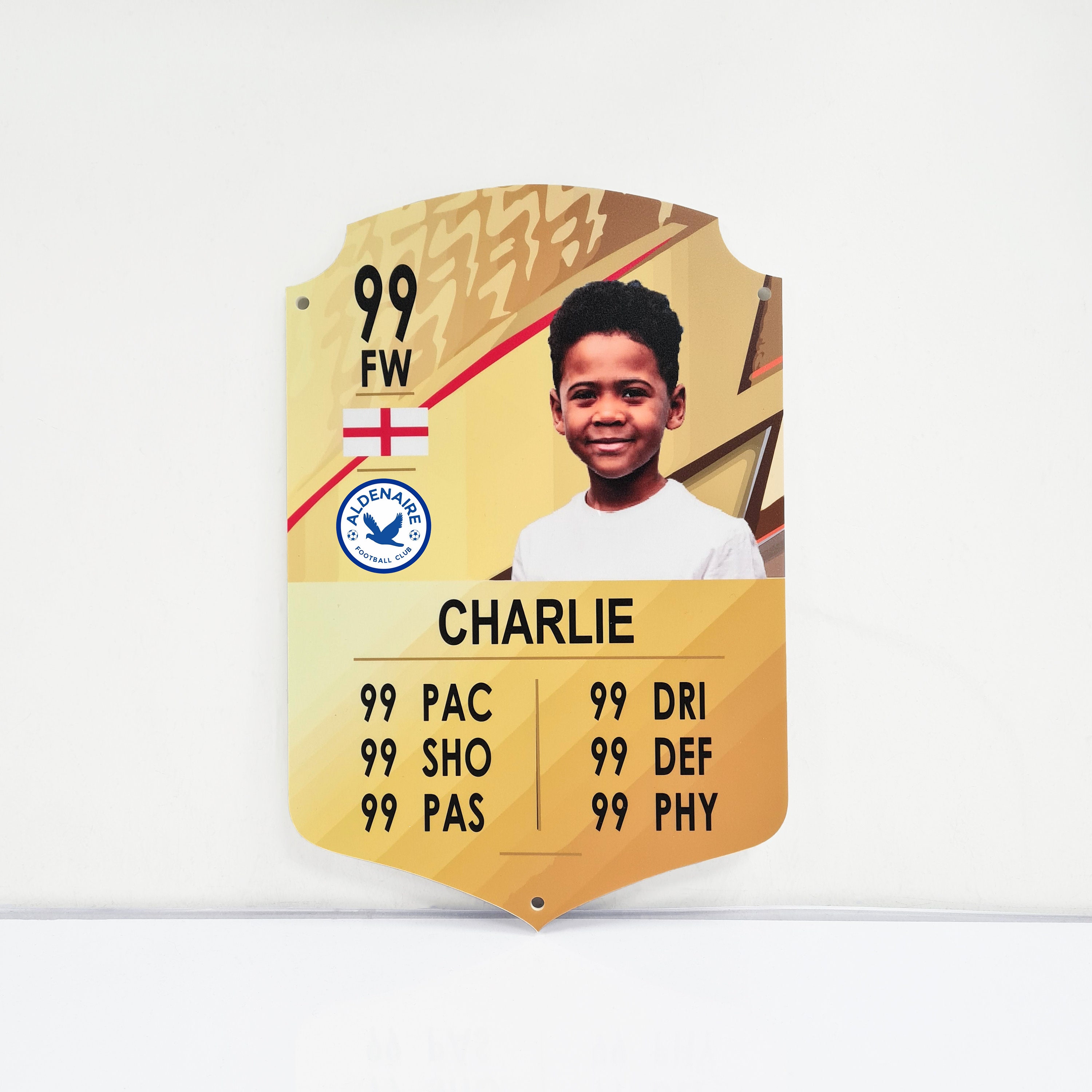 Personalised Fifa Ultimate Team Card, FUT 23 Custom Printed Foamex