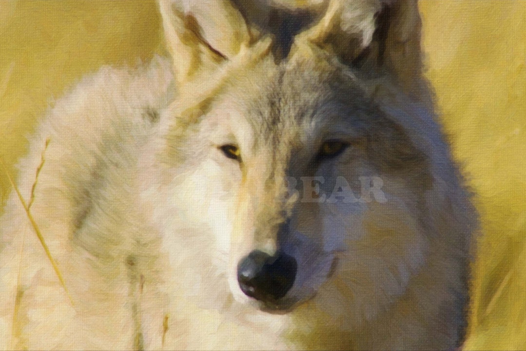 0140 Digital Dwnload Wolf Art Design for Printing Oil Painting Etsy