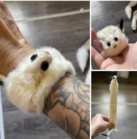 Weird Taxidermy: the OG Ermine Slap Bracelet - Etsy Weird Taxidermy: the OG Ermine Slap Bracelet - Etsy