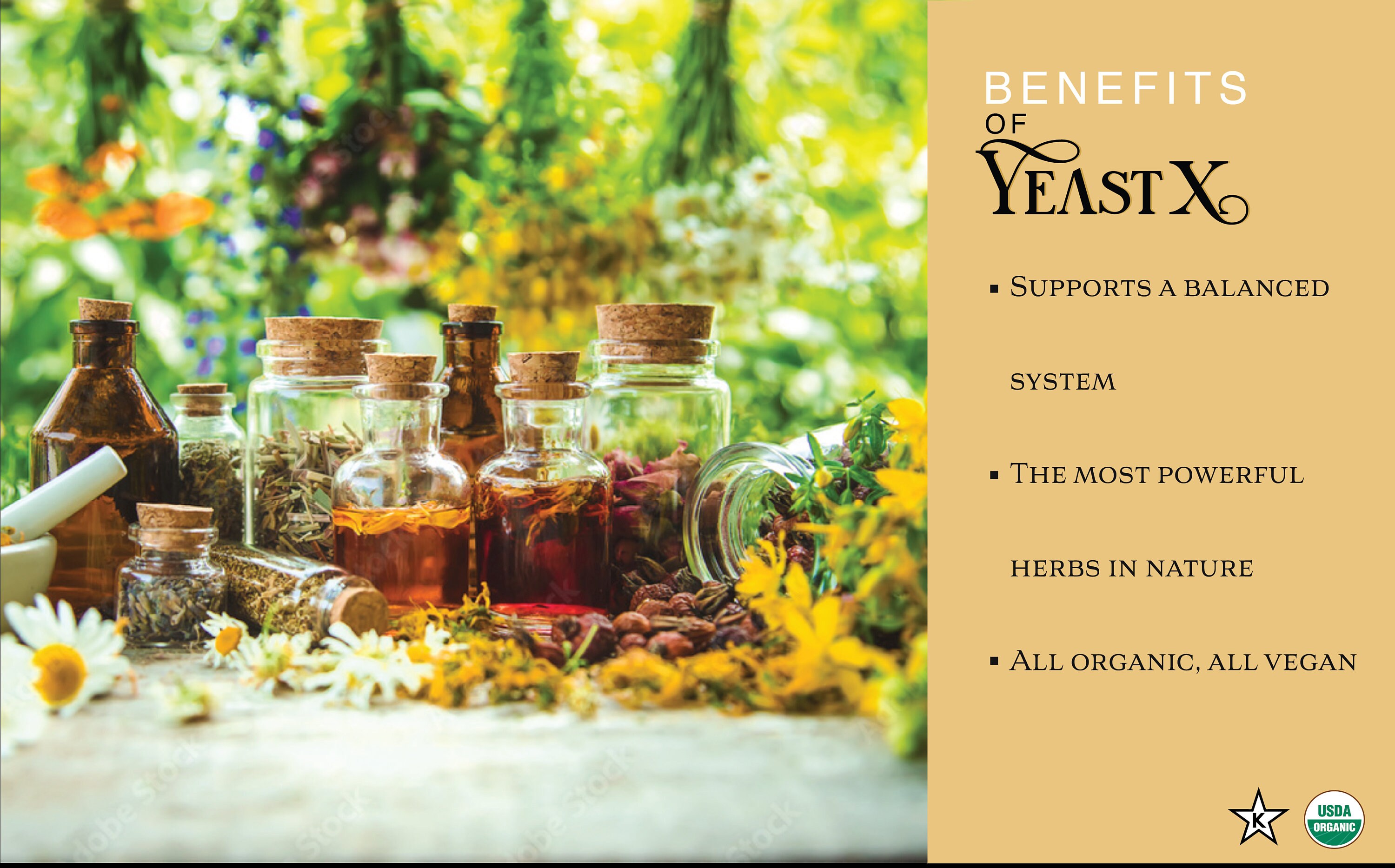 YEAST X Organic Antiyeast Supplement 30 Servings in a 2 Oz Glass Bottle by Khroma Herbal