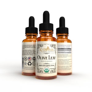 Organic Olive Leaf - 2 OZ Liquid - 30 Servings - Maximum Potency - USDA Organic, Kosher, cGMP - Khroma Herbal Products