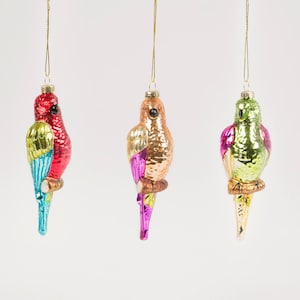 Glass Parrots Hanging Christmas Tree Decorations - Winter Festive Twitcher Bird Nature Outdoors Colourful Exotic Animals Gift