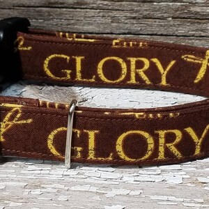 May include: A brown dog collar with silver hardware and the word "GLORY" printed in yellow.