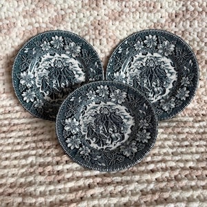 May include: Three round ceramic plates featuring a dark blue and white transferware pattern. The center of each plate depicts a group of figures in a horse-drawn carriage, while the wide rims are decorated with a detailed floral and leaf motif.