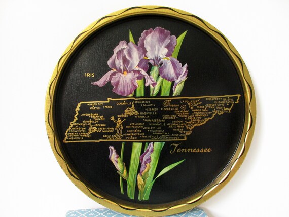Mid Century Souvenir Tennessee State Tray Tennessee Drink Serving Metal Tray State Flower Iris Vintage State Round Bar Tray - 